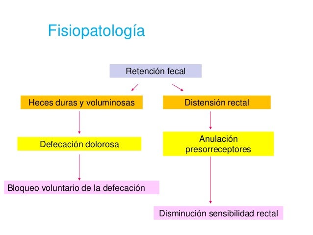 LIBRO TRATADO DE PEDIATRIA NELZON EDICION 20 (DISPONIBILIDAD LIMITADA )
